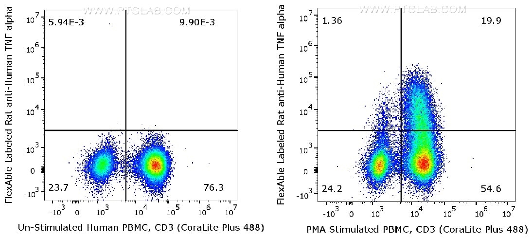 Human peripheral blood lymphocytes (PBMC) were either un-stimulated (left) or stimulated with PMA and Ionomycin for 6 hours in the presence of monensin (right). The cells were surface stained with CD3 antibody (CL488-65151) before fixation. Then, cells were fixed and permeabilized with Foxp3/Transcription Factor Staining Buffer Kit (PF00011). After wash, cells were stained with rat anti-human TNF-α antibody labeled with FlexAble CoraLite® Plus 647 kit (KFA123).