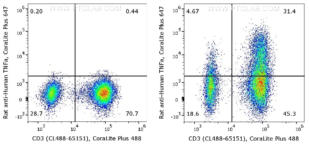 Human peripheral blood lymphocytes (PBMC) were either un-stimulated (left) or stimulated with PMA and Ionomycin for 6 hours in the presence of monensin (right). ​
Cells were fixed and permeabilized with Foxp3/Transcription Factor Staining Buffer Kit (PF00011). After wash, cells were stained with rat anti-human TNF-α antibody labeled with FlexAble CoraLite® Plus 647 for Rat Kappa Light Chain (KFA123) and CD3 antibody (CL488-65151).