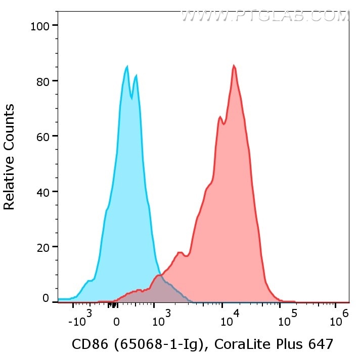 1X10^6 of LPS treated mouse splenocytes were surface stained with rat anti-Mouse CD86 (65068-1-Ig, Clone: GL1, red) or rat IgG2a isotype control (65209-1-Ig, blue) labeled with FlexAble CoraLite® Plus 647 for Rat Kappa Light Chain (KFA123). Cells were not fixed.