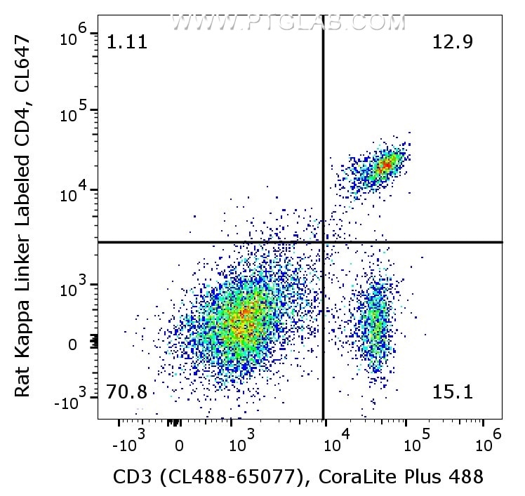 1X10^6 C57BL/6 mouse splenocytes were surface stained with rat anti-Mouse CD3 (CL488-65077, Clone: 17A2) and 0.5µg rat anti-Mouse CD4 (65104-1-Ig, Clone: GK1.5) labeled with FlexAble CoraLite® Plus 647 Kit (KFA123). Cells were not fixed.