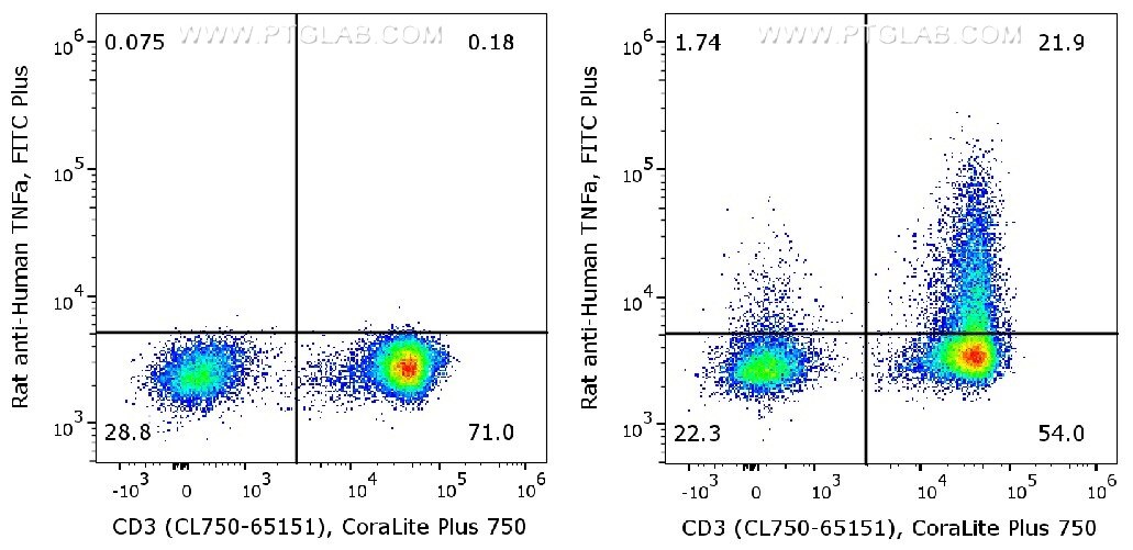 Human peripheral blood lymphocytes (PBMC) were either un-stimulated (left) or stimulated with PMA and Ionomycin for 6 hours in the presence of monensin (right). ​
Cells were fixed and permeabilized with Foxp3/Transcription Factor Staining Buffer Kit (PF00011). After wash, cells were stained with rat anti-human TNF-α antibody labeled with FlexAble FITC Plus for Rat Kappa Light Chain  (KFA126 ) and CD3 antibody (CL750-65151). 