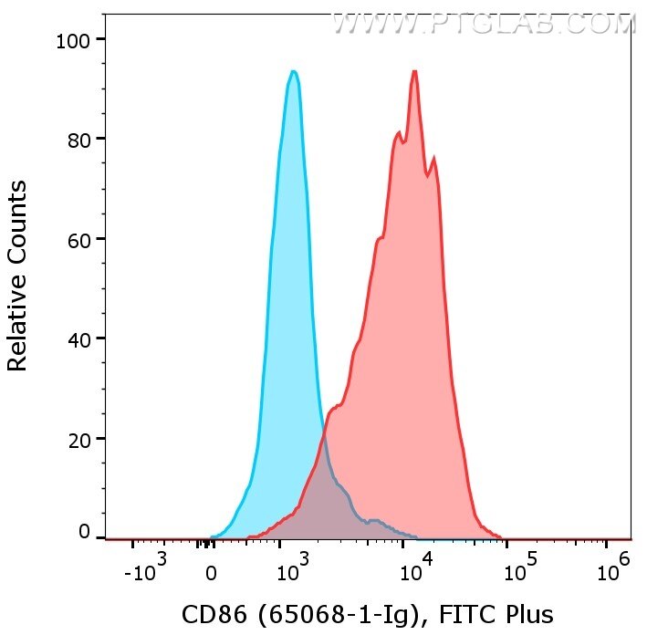 1X10^6 of LPS treated mouse splenocytes were surface stained with rat anti-Mouse CD86 (65068-1-Ig, Clone: GL1, red) or rat IgG2a isotype control (65209-1-Ig, blue) labeled with FlexAble FITC Plus for Rat Kappa Light Chain (KFA126). Cells were not fixed.