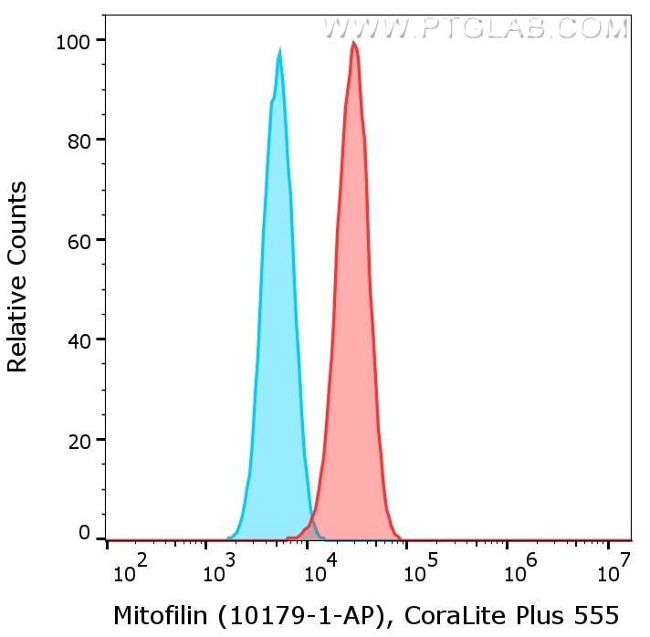 1X10^6 HeLa cells were intracellularly stained with anti-Mitofilin rabbit polyclonal antibody (10179-1-AP, red) or with isotype control antibody (30000-0-AP, blue) labeled with FlexAble 2.0 CoraLite® Plus 555 Kit (KFA502). Cells were fixed and permeabilized with Foxp3 /Transcription Factor Staining Buffer Kit (PF00011).