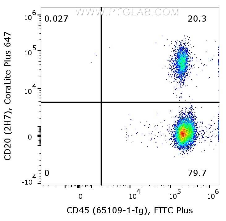 1X10^6 human PBMCs were surface co-stained with CoraLite® Plus 647 Anti-Human CD20 (CL647-65085, Clone:2H7), and Anti-Human CD45 (65109-1-Ig, Clone: HI30) labeled with FlexAble 2.0 FITC Plus Kit (KFA528). Cells were not fixed. Lymphocytes were gated.