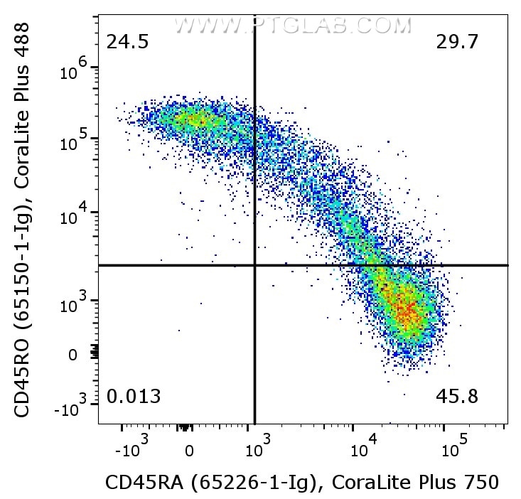 1X10^6 human PBMCs were surface co-stained with Anti-Human CD45RO (65150-1-Ig, Clone:UCHL1) labeled with FlexAble 2.0 CoraLite® Plus 488 Kit (KFA541), and Anti-Human CD45RA (65226-1-Ig, Clone:F8-11-13) labeled with FlexAble 2.0 CoraLite® Plus 750 Kit (KFA524). Cells were not fixed. Lymphocytes were gated.