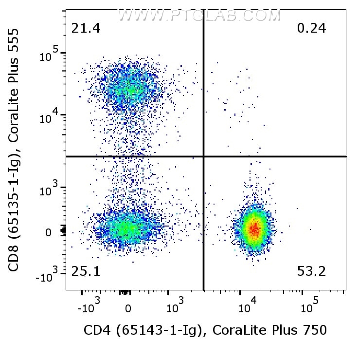 1X10^6 human PBMCs were surface co-stained with CoraLite® Plus 405 Anti-Human CD3 (CL405-65151, Clone: UCHT1), Anti-Human CD8 (65135-1-Ig, Clone:OKT8) labeled with FlexAble 2.0 CoraLite® Plus 555 Kit (KFA542), and Anti-Human CD4 (65143-1-Ig, Clone:RPA-T4) labeled with FlexAble 2.0 CoraLite® Plus 750 Kit (KFA524). Cells were not fixed. CD3+ lymphocytes were gated.
