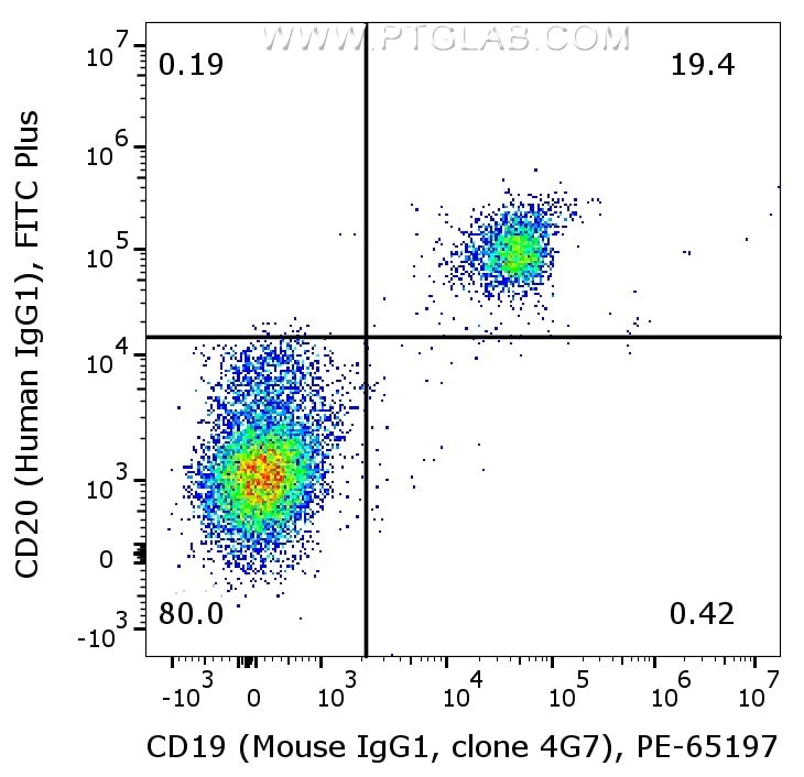 Flow cytometry of PBMC. 1X10^6 human peripheral blood mononuclear cells (PBMCs) were stained with anti-human CD20 (Human IgG1) labeled with FlexAble 2.0 FITC Plus Kit (KFA609) and anti-human CD19 (Mouse IgG1, clone 4G7) conjugated with PE  (PE-65197).
