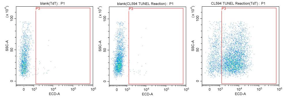 The above experimental results are based on Jurkat cells cultured for three days to perform a flow cytometry experiment to detect the apoptotic cells in the cell sample.