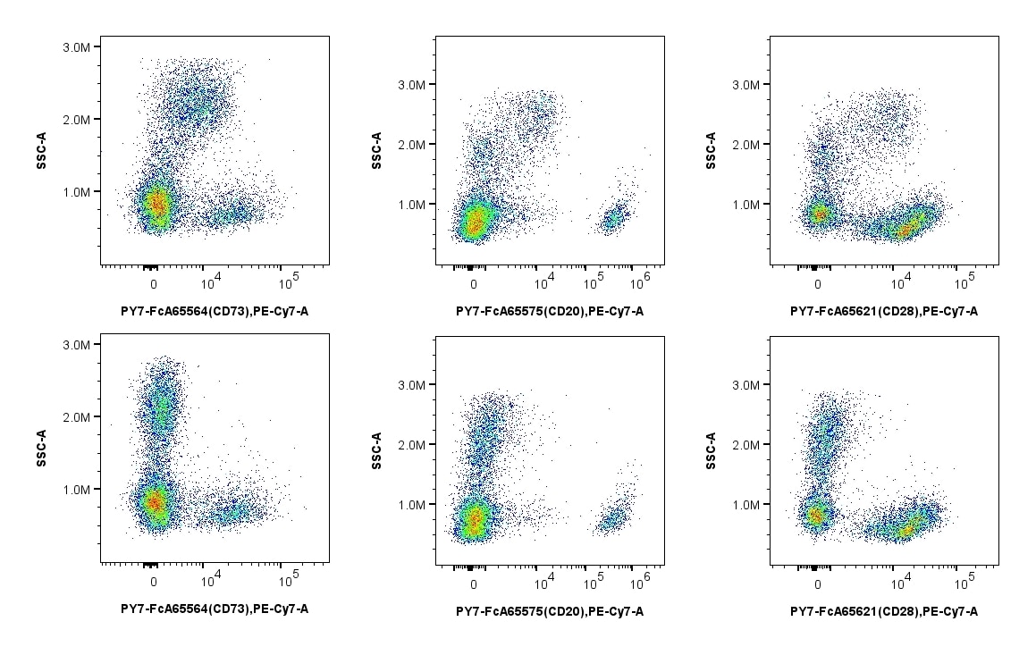 MonoZero™ Monocytes Blocking Reagent, in staining with PE-Cyanine7 conjugated antibodies, shows significant reduction in background without affecting specific binding of antibody to the target protein, resulting in improved separation of positive and negative populations. Human PBMCs were incubated with (bottom) and without (top) MonoZero™ Monocytes Blocking Reagent, then stained with PY7-FcA65564 (CD73) (left), PY7-FcA65575 (CD20) (center), and PY7-FcA65621 (CD28) (right). 