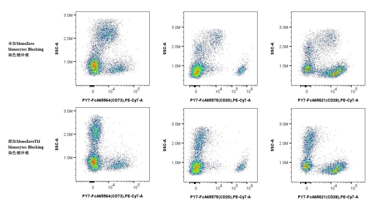 MonoZero™ Monocytes Blocking Staining Reagent in PE-Cy7 Coupled Antibody exhibits excellent blocking effect, significantly reduces background noise and enhances signal clarity. Incubating hPBMCs with PY7-FcA65564 (CD73), PY7-FcA65575 (CD20), PY7-FcA65621 (CD28), MonoZero™ significantly reduced non-specific binding and did not minimize specific binding, ensuring the accuracy and reliability of experimental data.