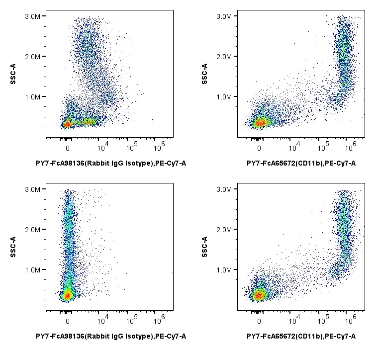 MonoZero™ Monocytes Blocking Reagent reduces non-specific background in mouse bone marrow without affecting specific binding of antibody to the target protein. Moues bone marrow cells were incubated with (bottom) and without (top) MonoZero™ Monocytes Blocking Reagent, then stained with PY7-FcA98136 (PE-Cyanine7 conjugated Rabbit IgG Isotype Control, left), or PY7-FcA65672 (PE-Cyanine7 conjugated Anti-Mouse CD11b, right). 