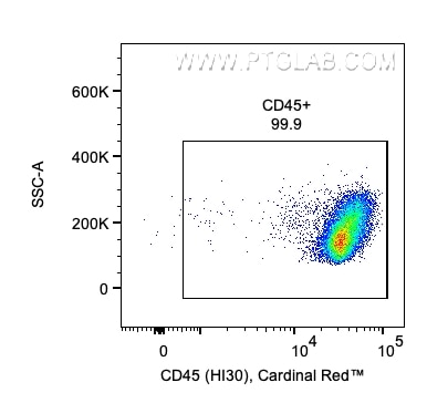 1x10^6 Human PBMCs were stained with PK30007 Human T Cell Basics Panel. CD45+ cells are gated. Parent population: lymphocytes. Cells were not fixed.