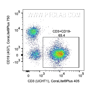 1x10^6 Human PBMCs were stained with PK30007 Human T Cell Basics Panel. CD3+/CD19- cells are gated. Parent population: CD45+ lymphocytes. Cells were not fixed.