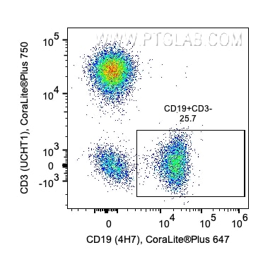 1 x 10^6 Human PBMCs were stained with PK30008 Human B Cell Basics Panel. CD3-/CD19+ cells are gated. Parent population: CD45+ lymphocytes. Cells were not fixed.