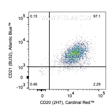 1 x 10^6 Human PBMCs were stained with PK30008 Human B Cell Basics Panel. CD20 and CD21 expression on CD45+CD3-CD19+ lymphocytes are shown. Cells were not fixed.