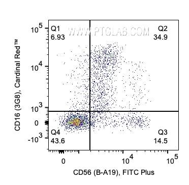 1x10^6 Human PBMCs were stained with PK30009 Human NK Cell Basics Panel. CD56 and CD16 expression on CD3-/CD226+ lymphocytes are shown. Cells were not fixed. 