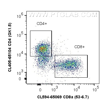 1x10^6 ConA stimulated mouse splenocytes were stained with PK30013 Mouse Activated T Cell Panel. CD4 and CD8 expression on CD3+ cells is shown. Cells were not fixed.