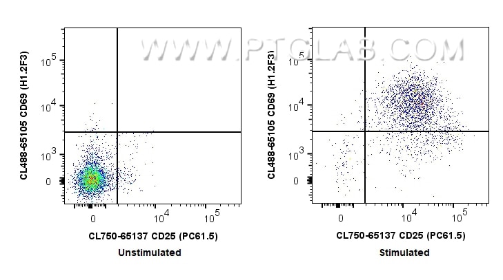 1x10^6 ConA stimulated (right) or unstimulated (left) mouse splenocytes were stained with PK30013 Mouse Activated T Cell Panel. CD25 and CD69 expression on CD3+ CD4+ T lymphocytes is shown. Cells were not fixed.
