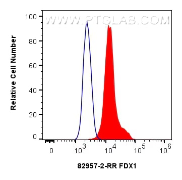 1x10^6 A431 cells were intracellularly stained with 0.4 ug FDX1 Recombinant antibody (82957-2-RR, Clone:230196E9) and CoraLite®488-Conjugated AffiniPure Goat Anti-Rabbit IgG(H+L) (SA00013-2)(red), or 0.4 ug Isotype Control (blue). Cells were fixed with 4% PFA and permeabilized with Flow Cytometry Perm Buffer.