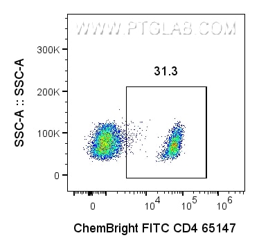 1x10^6 Human PBMCs were surface stained with 0.0625 ug Anti-Human CD4 (65147-1-Ig, clone: SK3) labeled with ChemBright FITC Plus Antibody Conjugation Kit (PK30032). Cells were not fixed. Cells were treated with Fc Receptor Block prior to staining. Live (PI-) lymphocytes were gated.