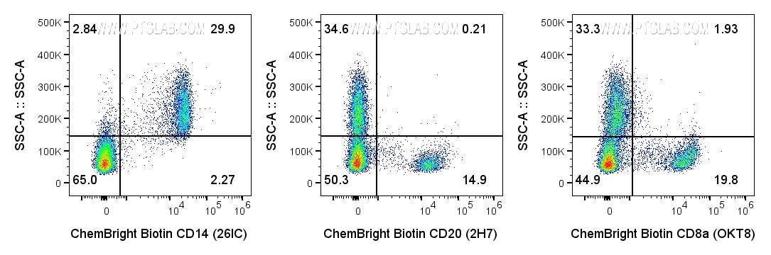 1x10^6 Human PBMCs were surface stained with 0.5 ug of various Anti-Human antibodies labeled with ChemBright Biotin Antibody Conjugation Kit (PK30033), then washed and stained with Streptavidin-PE (PE-PF00030). Cells were not fixed. Cells were treated with Fc Receptor Block prior to staining. Lymphocytes and monocytes were gated.
Left: Anti-Human CD14 (65246-1-Ig, clone: 26IC). Center: Anti-Human CD20 (65085-1-Ig, clone: 2H7). Right: Anti-Human CD8a (65135-1-Ig, clone: OKT8). 