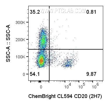 1x10^6 Human PBMCs were surface stained with 0.2 ug Anti-Human CD20 (65085-1-Ig, clone: 2H7) labeled with ChemBright CL594 Antibody Conjugation Kit (PK30036). Cells were not fixed. Cells were treated with Fc Receptor Block (PF00029) prior to staining. Lymphocytes and monocytes were gated. 1x10^6 Human PBMCs were surface stained with 0.2 ug Anti-Human CD20 (65085-1-Ig, clone: 2H7) labeled with ChemBright CL594 Antibody Conjugation Kit (PK30036). Cells were not fixed. Cells were treated with Fc Receptor Block (PF00029) prior to staining. Lymphocytes and monocytes were gated.