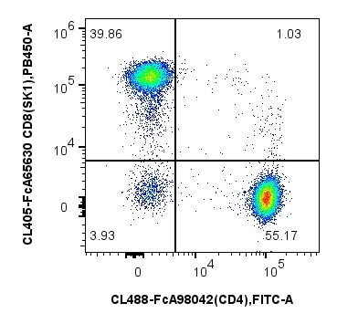 1x10^6 Human PBMCs were stained with PK30051 FcZero-rAb® Human T Cell Basics Panel. CD4 and CD8 expression on CD45+CD3+CD19- T lymphocytes are shown. Cells were not fixed.