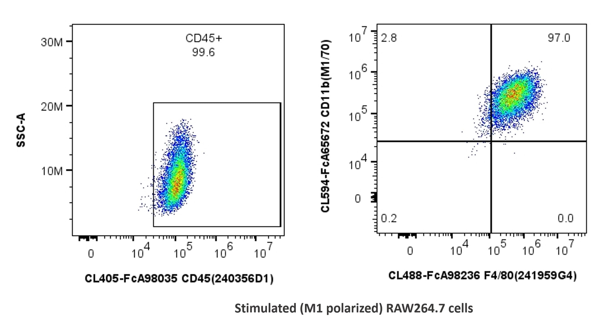 1x10^6 stimulated (M1 polarized) RAW264.7 cells were stained with PK30055 FcZero-rAb® FcZero-rAb™ Mouse Macrophage Basics Panel. CD45+ cells are gated to analyse CD11b and F4/80 expression. Cells were not fixed.