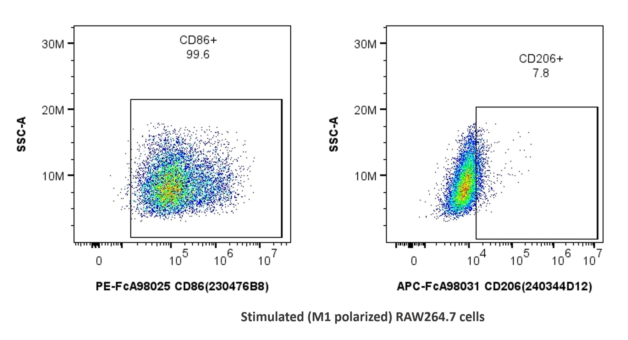 1x10^6 stimulated (M1 polarized) RAW264.7 cells were stained with PK30055 FcZero-rAb® FcZero-rAb™ Mouse Macrophage Basics Panel. CD86 and CD206 expression on CD45+CD11b+F4/80+ cells is shown. Cells were not fixed.