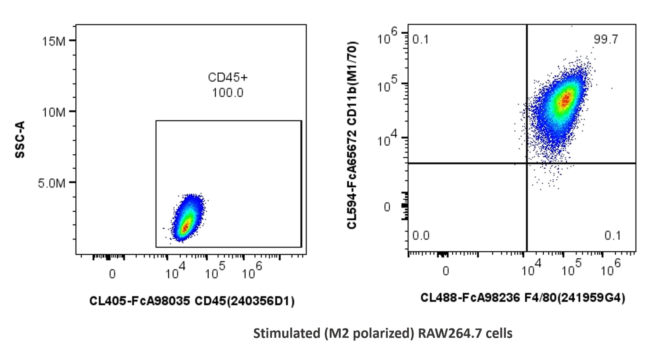 1x10^6 stimulated (M2 polarized) RAW264.7 cells were stained with PK30055 FcZero-rAb® FcZero-rAb™ Mouse Macrophage Basics Panel. CD45+ cells are gated to analyse CD11b and F4/80 expression. Cells were not fixed.