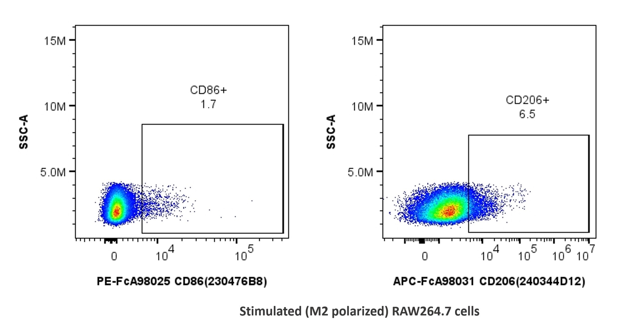 1x10^6 stimulated (M2 polarized)  RAW264.7 cells were stained with PK30055 FcZero-rAb® FcZero-rAb™ Mouse Macrophage Basics Panel. CD86 and CD206 expression on CD45+CD11b+F4/80+ cells is shown. Cells were not fixed.