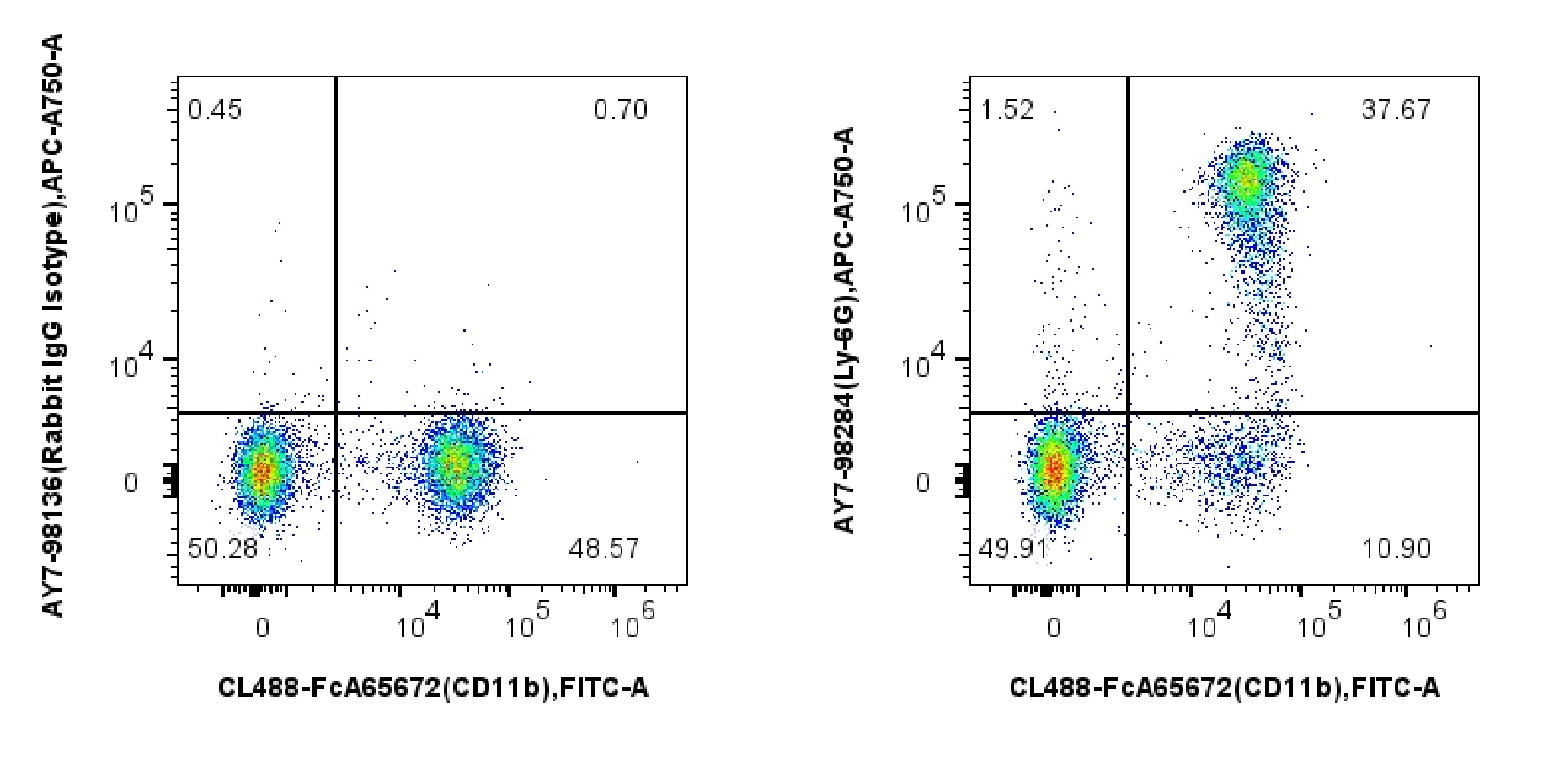 1x10^6 mouse bone marrow cells were surface stained with FcZero-rAb® CoraLite® Plus 488 Anti-Mouse CD11b and 0.1 ug APC-Cyanine7 Anti-Mouse Ly-6G Rabbit RecAb (AY7-98284, Clone: 242141B11) or APC-Cyanine7 Rabbit IgG Isotype Control Recombinant Antibody (AY7-98136, Clone: 240953C9). Cells were incubated with MonoZero™ Monocytes blocking Reagent (PF00020) prior to staining. Cells were not fixed. 1x10^6 mouse bone marrow cells were surface stained with FcZero-rAb® CoraLite® Plus 488 Anti-Mouse CD11b and 0.1 ug APC-Cyanine7 Anti-Mouse Ly-6G Rabbit RecAb (AY7-98284, Clone: 242141B11) or APC-Cyanine7 Rabbit IgG Isotype Control Recombinant Antibody (AY7-98136, Clone: 240953C9). Cells were incubated with MonoZero™ Monocytes blocking Reagent (PF00020) prior to staining. Cells were not fixed.