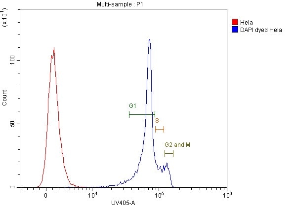 2.5x10^6 HeLa cells were intracellularly stained with DAPI (PR30021, blue). Cells were fixed with 4% PFA.