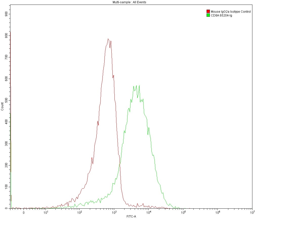 1X10^6 MOLT4 were surface stained with 0.2 ug Anti-Human CD8 (65204-1-Ig, Clone: UCHT4) and Mouse IgG2a Isotype Control 66360-2-Ig. Multi-rAb CoraLite® Plus 488-Goat Anti-Mouse Recombinant Secondary Antibody (H+L) RGAM002 was used at 1:500 for detection.