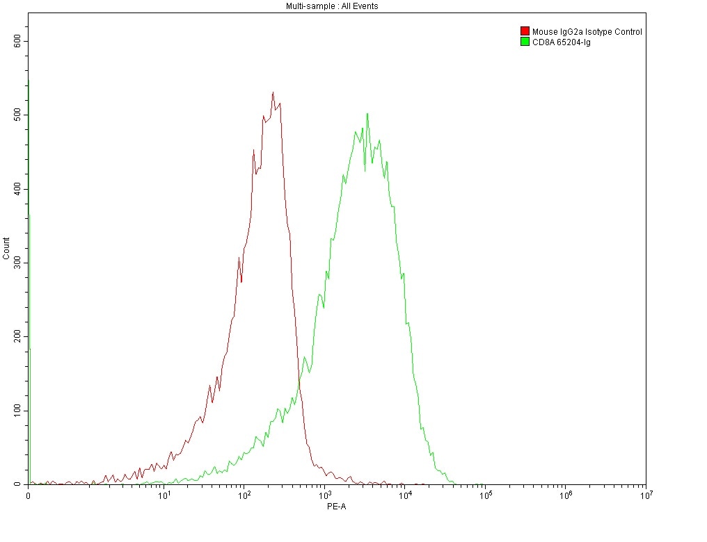 1X10^6 MOLT4 were surface stained with 0.2 ug Anti-Human CD8 (65204-1-Ig, Clone: UCHT4) and Mouse IgG2a Isotype Control 66360-2-Ig. Multi-rAb CoraLite® Plus 550-Goat Anti-Mouse Recombinant Secondary Antibody (H+L) RGAM003 was used at 1:500 for detection.