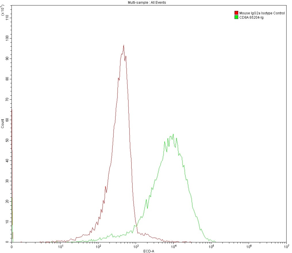 1X10^6 MOLT4 were surface stained with 0.2 ug Anti-Human CD8 (65204-1-Ig, Clone: UCHT4) and Mouse IgG2a Isotype Control 66360-2-Ig. Multi-rAb CoraLite® Plus 594-Goat Anti-Mouse Recombinant Secondary Antibody (H+L) RGAM004 was used at 1:500 for detection.