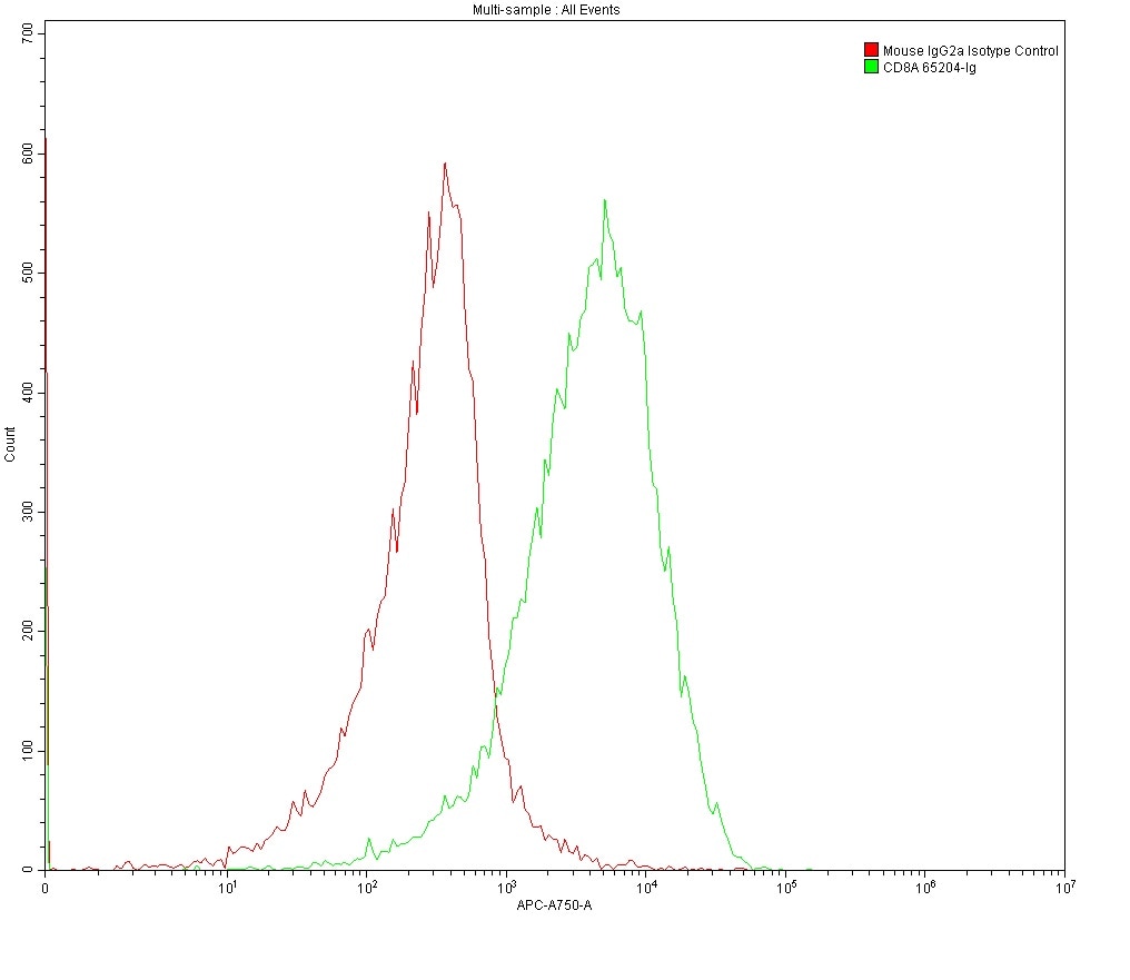 1X10^6 MOLT4 were surface stained with 0.2 ug Anti-Human CD8 (65204-1-Ig, Clone: UCHT4) and Mouse IgG2a Isotype Control 66360-2-Ig. Multi-rAb CoraLite® Plus 647-Goat Anti-Mouse Recombinant Secondary Antibody (H+L) RGAM006 was used at 1:500 for detection.