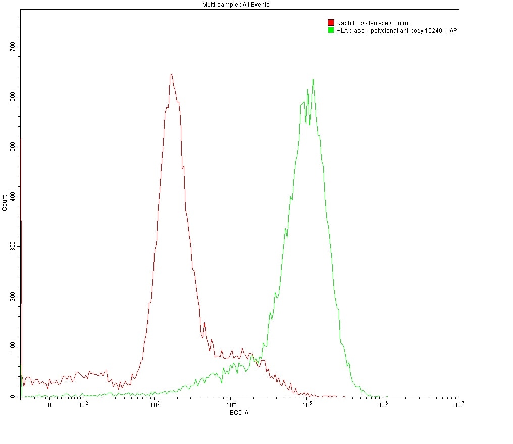 1X10^6 MOLT4 were surface stained with 0.2 ug Anti-HLA class I rabbit polyclonal antibody (15240-1-AP) and Rabbit IgG Isotype Control 30000-0-AP. Multi-rAb CoraLite® Plus 594-Goat Anti-Rabbit Recombinant Secondary Antibody (H+L) RGAR004 was used at 1:500 for detection.