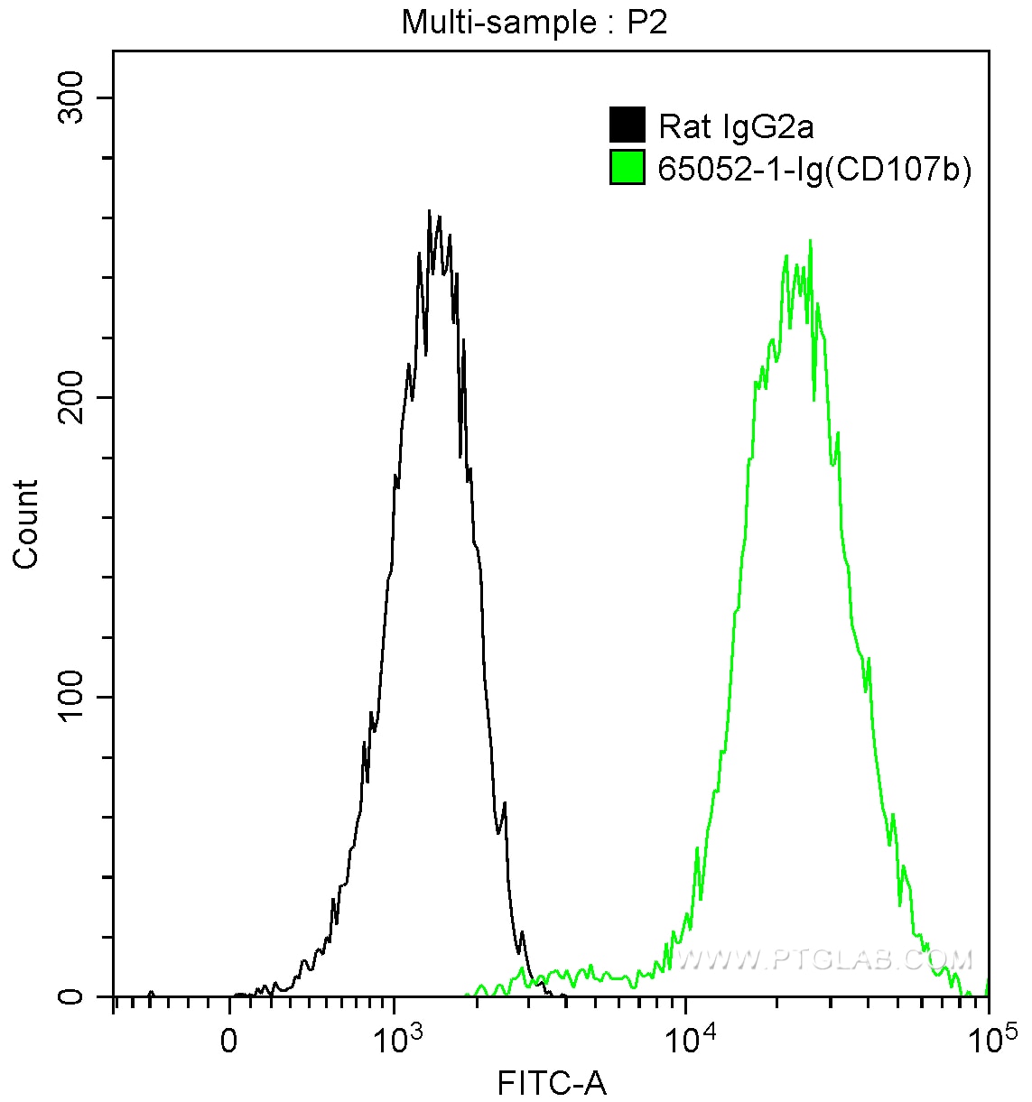 Goat Anti-Rabbit IgG (H+L) Secondary Antibody, Cy3 Conjugated