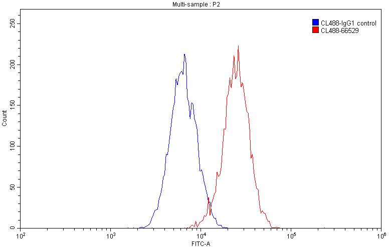 Flow cytometry (FC) experiment of K526 using CoraLite® Plus 488-conjugated FCGR2A / CD32a Monoc (CL488-66529)