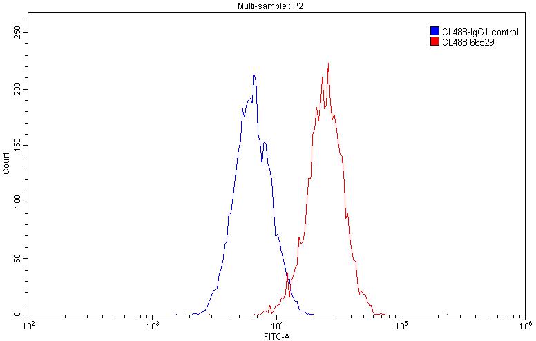 Flow cytometry (FC) experiment of K526 using CoraLite® Plus 488-conjugated FCGR2A / CD32a Monoc (CL488-66529)