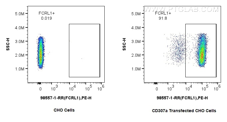 Flow cytometry (FC) experiment of Transfected CHO using Anti-Human FCRL1 Rabbit Recombinant Antibody (98557-1-RR)