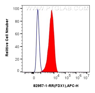 FC experiment of A431 using 82957-1-RR