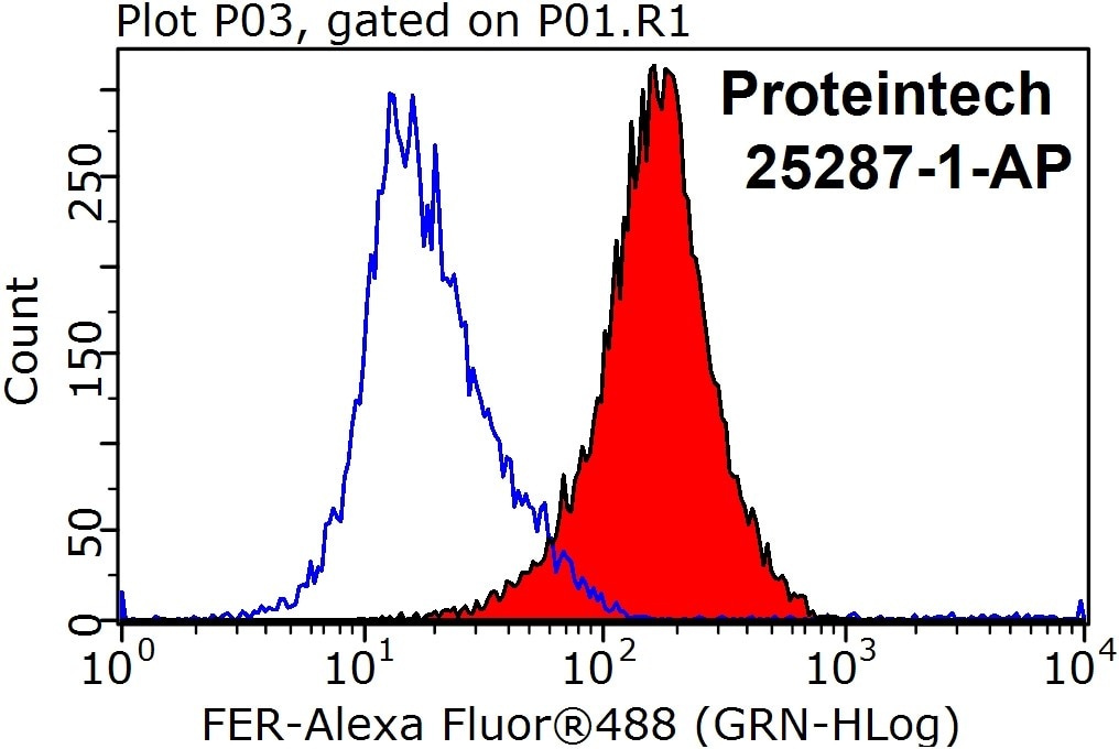 Flow cytometry (FC) experiment of Jurkat cells using FER Polyclonal antibody (25287-1-AP)