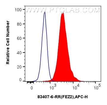 Flow cytometry (FC) experiment of A431 cells using FEZ2 Recombinant antibody (83407-6-RR)