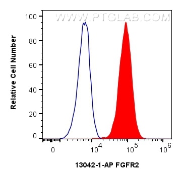 Flow cytometry (FC) experiment of HepG2 cells using FGFR2 Polyclonal antibody (13042-1-AP)