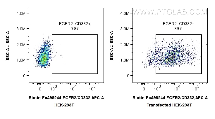 FC experiment of Transfected HEK-293T using Biotin-FcA98244 Flow cytometry (FC) experiment of Transfected HEK-293T cells using FcZero-rAb® Biotin Anti-Human FGFR2/CD332 Rabbit R (Biotin-FcA98244)