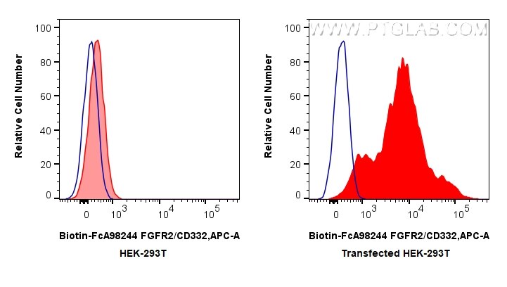 FC experiment of Transfected HEK-293T using Biotin-FcA98244 Flow cytometry (FC) experiment of Transfected HEK-293T cells using FcZero-rAb® Biotin Anti-Human FGFR2/CD332 Rabbit R (Biotin-FcA98244)