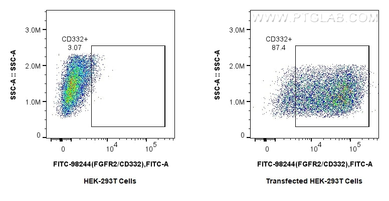 Flow cytometry (FC) experiment of Transfected HEK-293T cells using FITC Plus Anti-Human FGFR2/CD332 Rabbit Recombinan (FITC-98244)