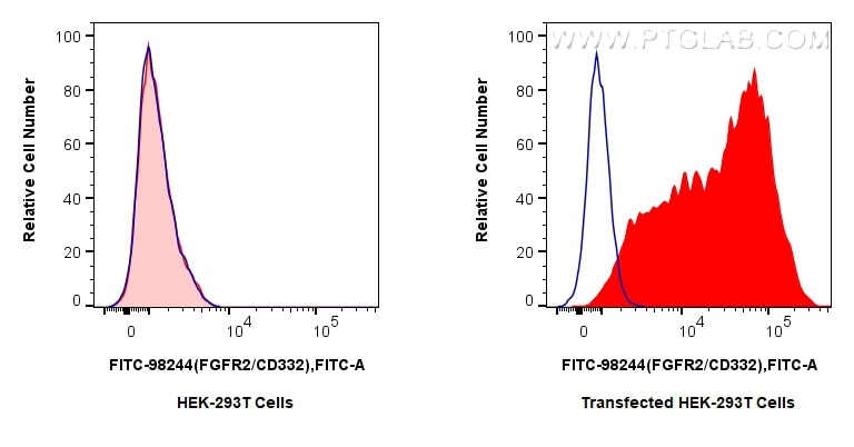 Flow cytometry (FC) experiment of Transfected HEK-293T cells using FITC Plus Anti-Human FGFR2/CD332 Rabbit Recombinan (FITC-98244)